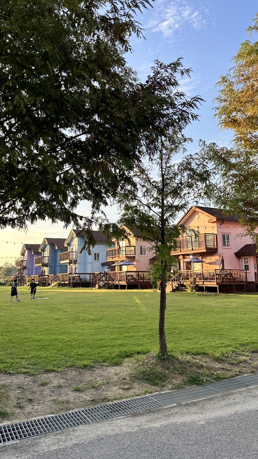 A large tree and low houses in a park under an early autumn sky