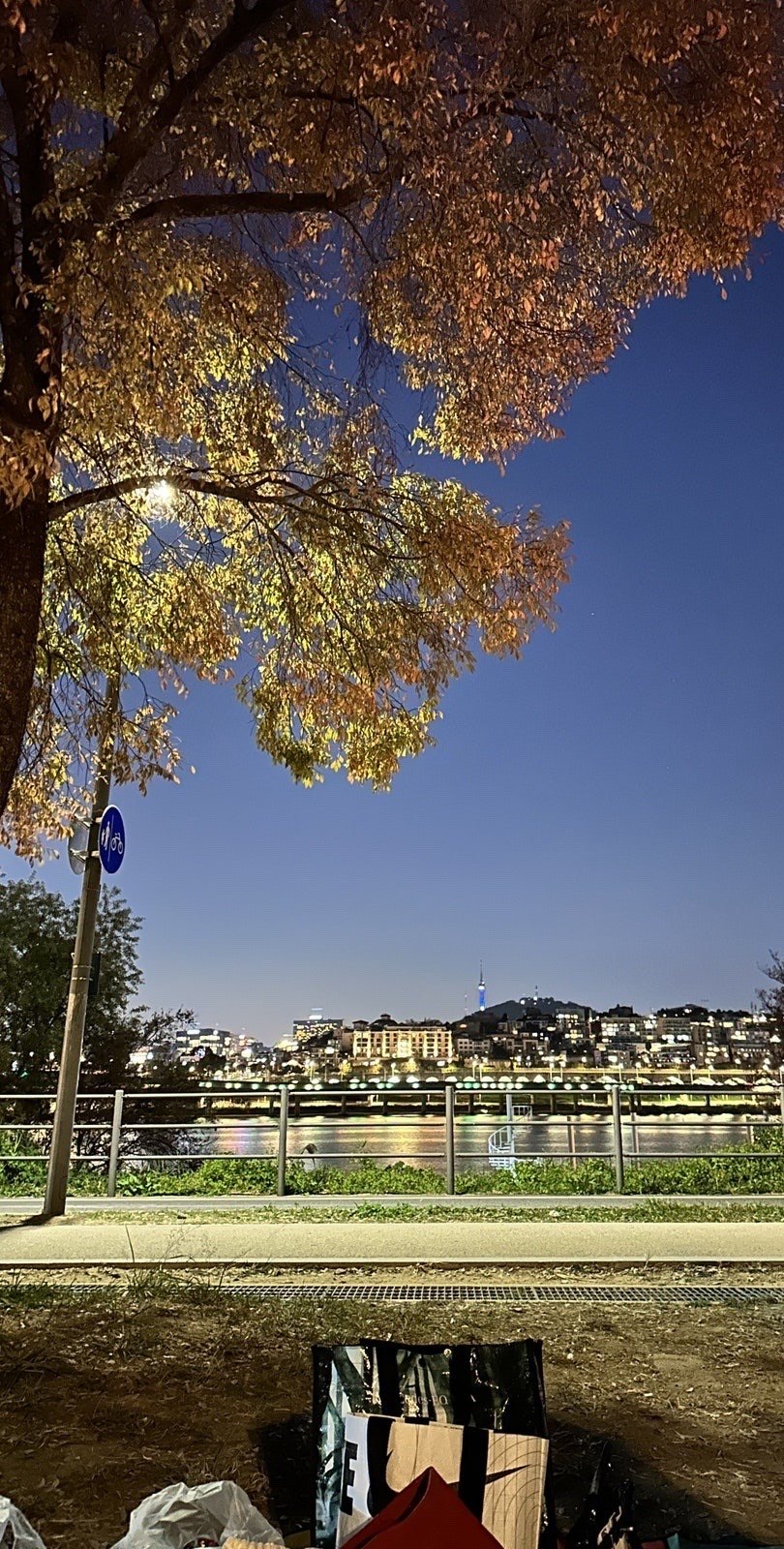 The same riverside view after dark: a streetlamp caught in the autumn branches, city lights across the water, and picnic bags on the ground