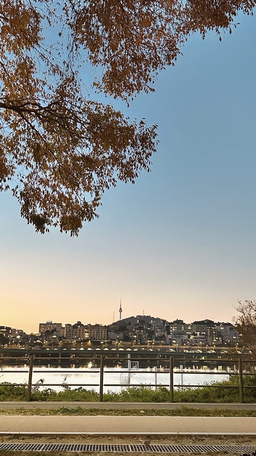 Autumn branches over the Han River at dusk, with the far bank lit up beneath an orange sky