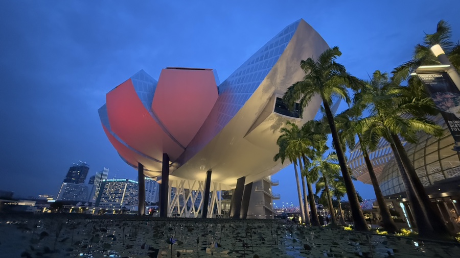 The lotus-shaped ArtScience Museum and palm trees at dusk