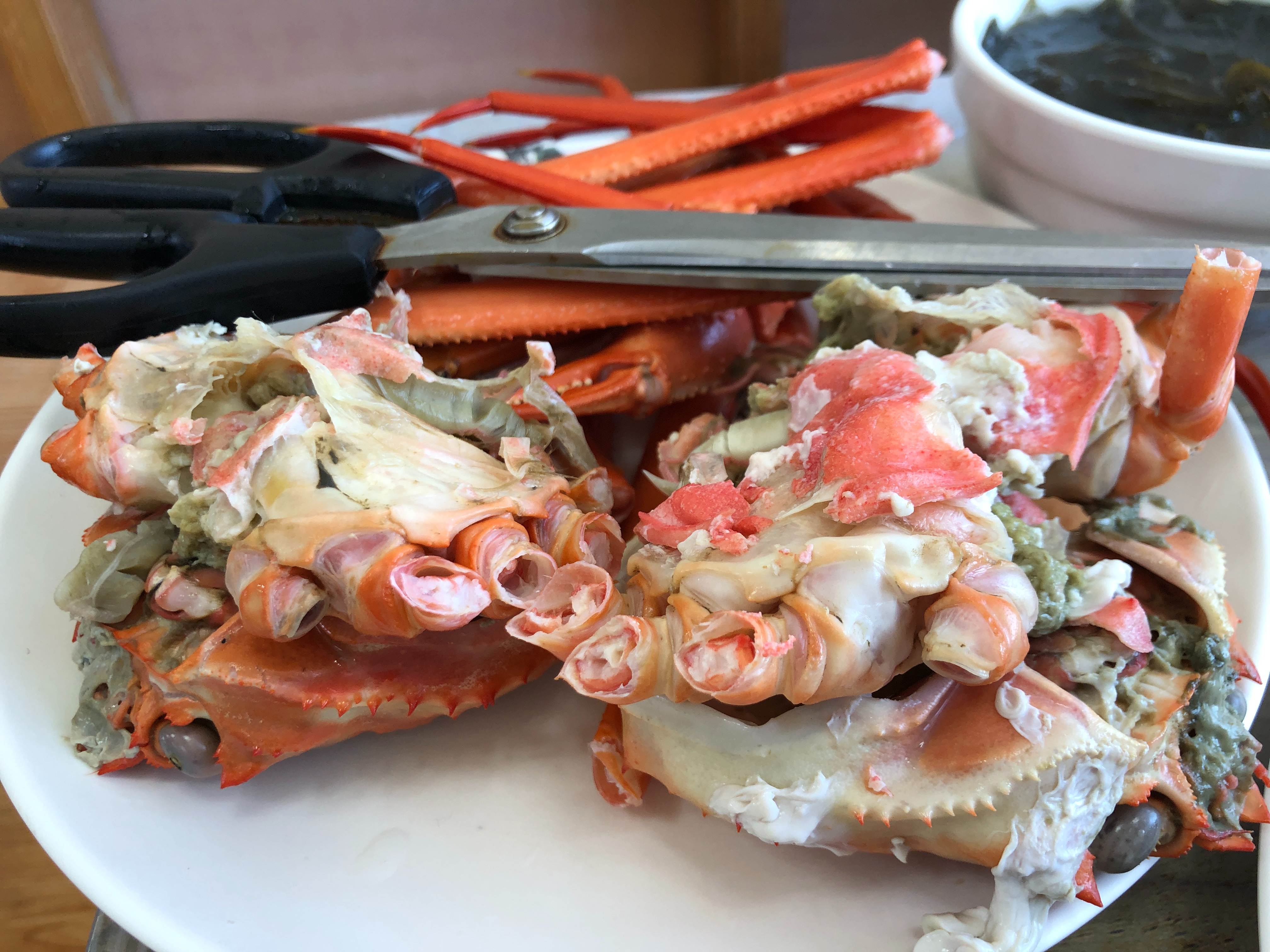 Live blue crabs piled in a shallow tank at a Korean seaside raw-fish centre, claws bound with rubber bands