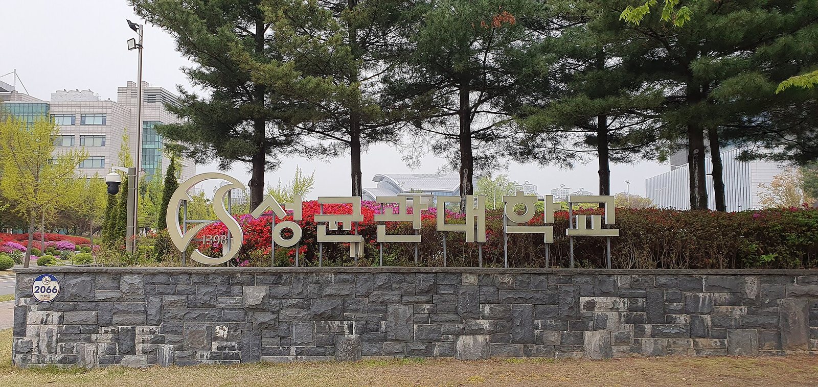 Large silver Korean lettering of Sungkyunkwan University's name on a stone wall at the Natural Sciences Campus entrance, with pine trees and azaleas behind