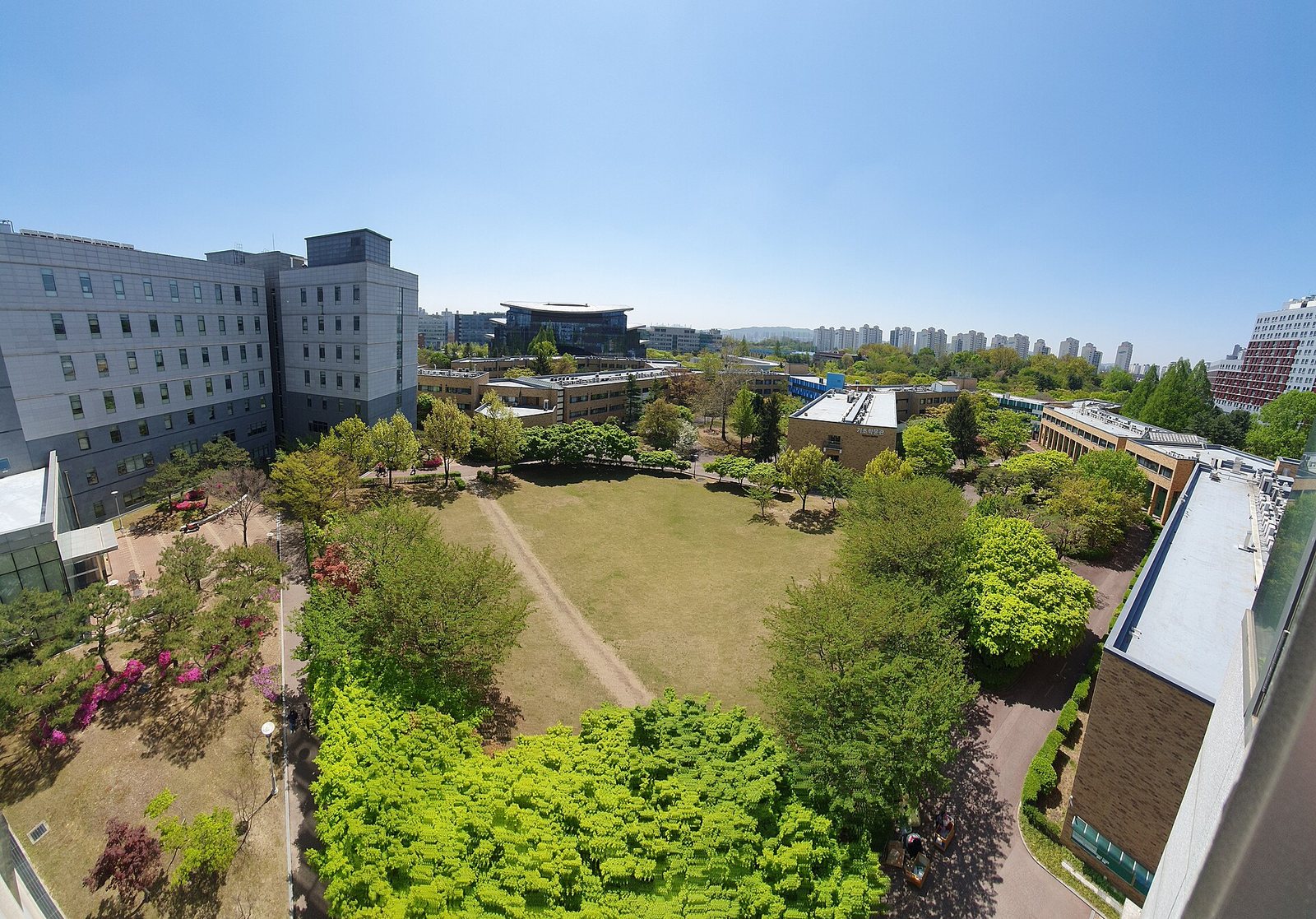 High view over Sungkyunkwan University's Natural Sciences Campus in spring, a green lawn and tree canopy between tall grey faculty buildings