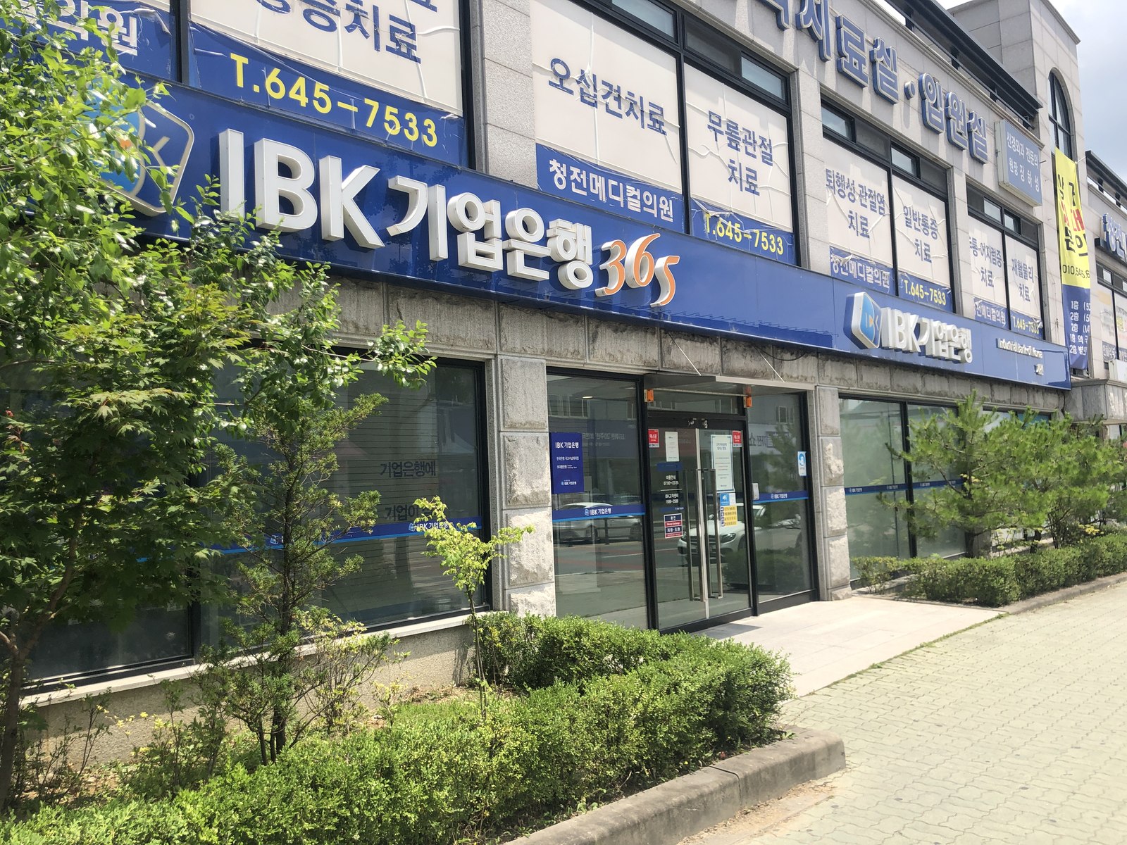 Ground-floor IBK Industrial Bank of Korea branch with a long blue self-service signboard, glass doors and low shrubs along the pavement
