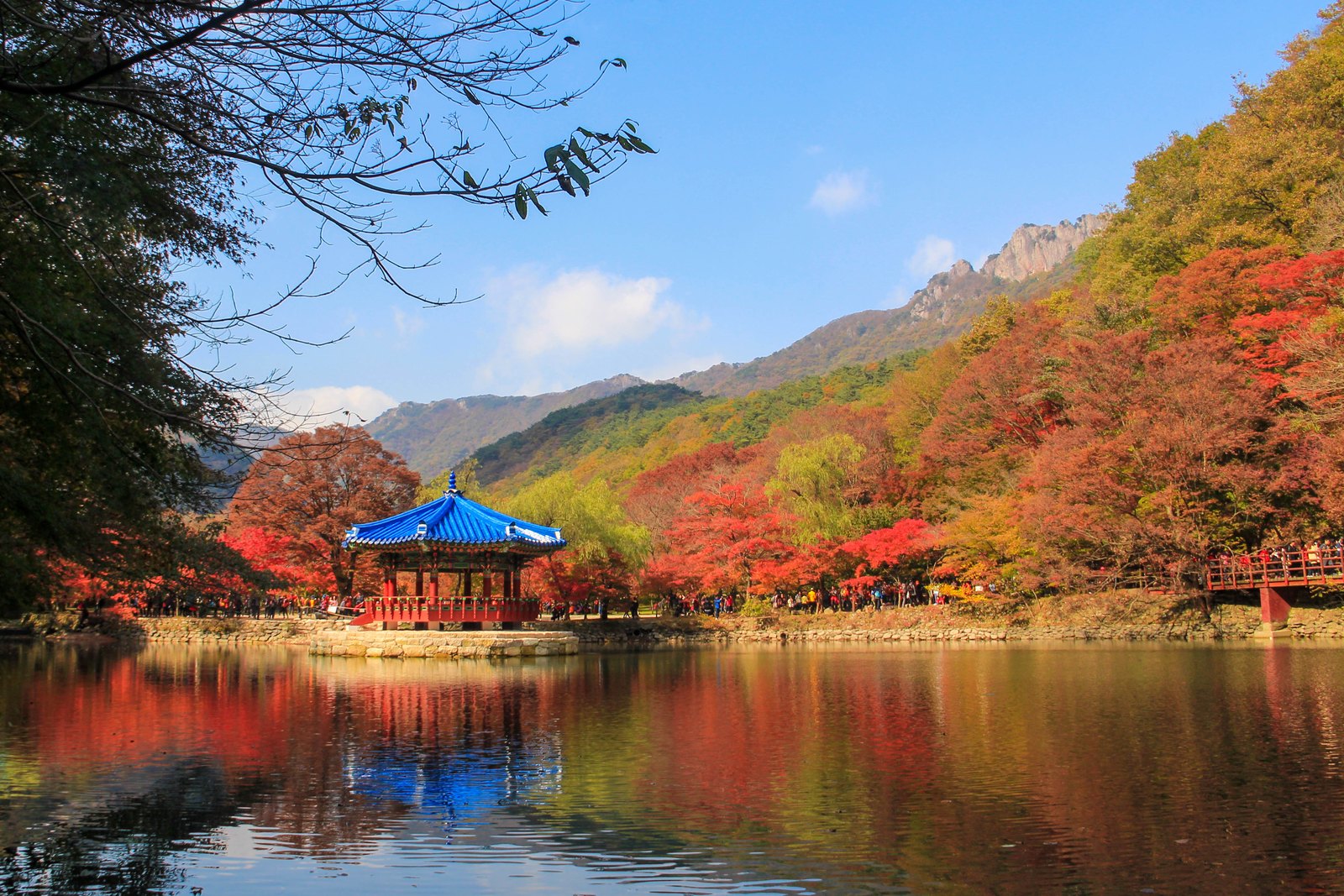 The same style of island pavilion at Naejangsan seen across a pond, this time surrounded by hillsides fully coloured in red and orange