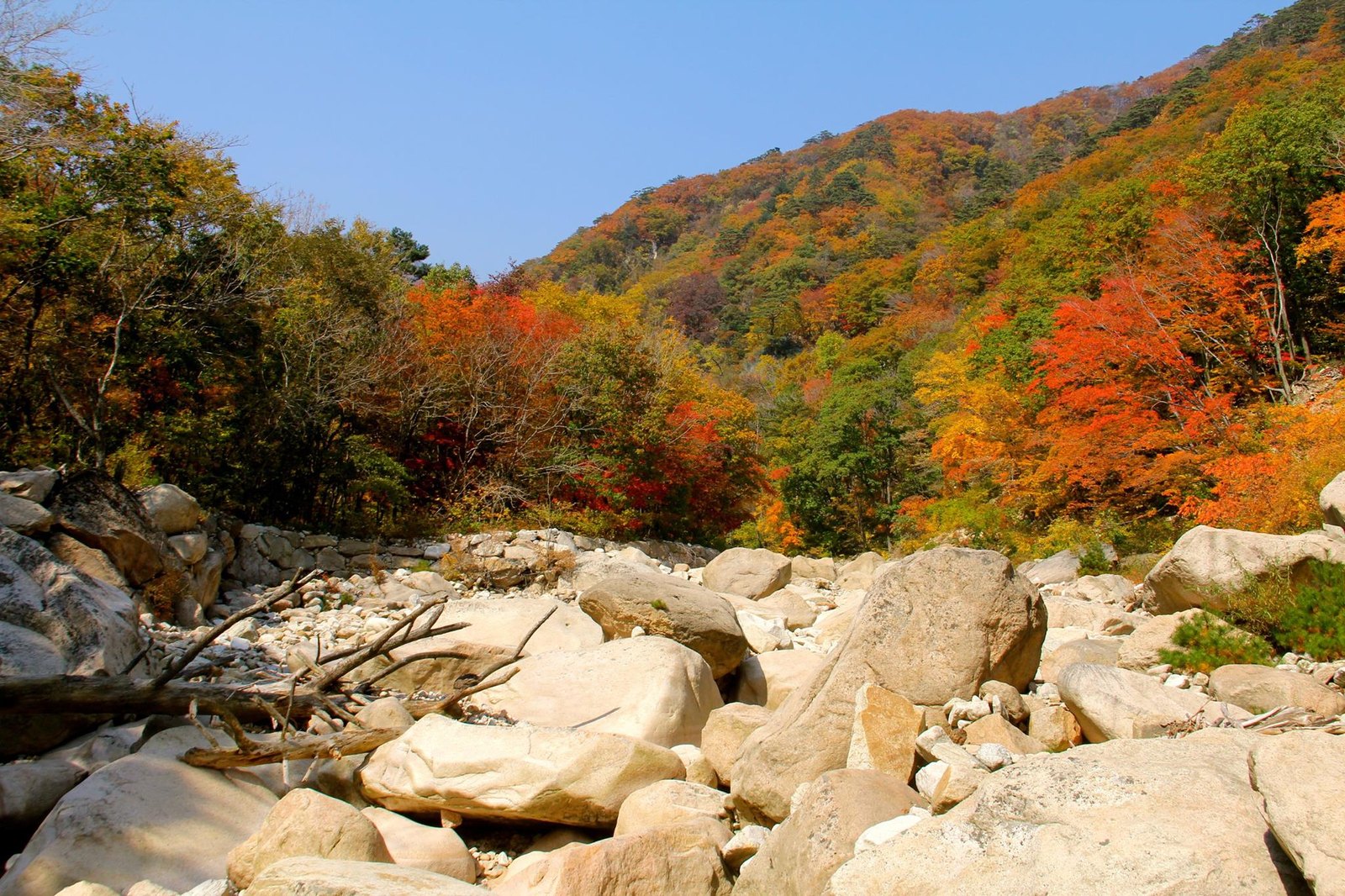 Seoraksan valley in autumn with a dry boulder-strewn streambed in front and a hillside behind carrying red, orange and still-green trees together